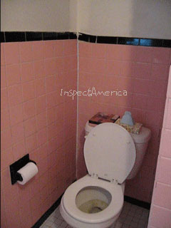 SunkenFloorToilet8